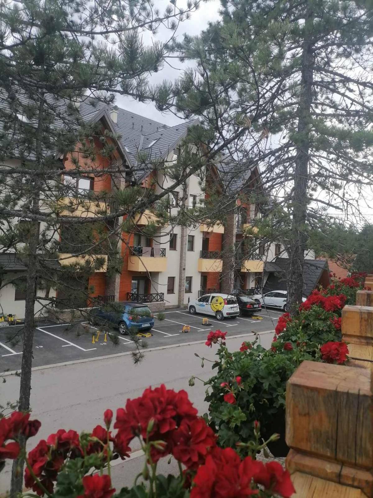 Apartman Pahuljica Tara Kaludjerske Bare Exterior foto