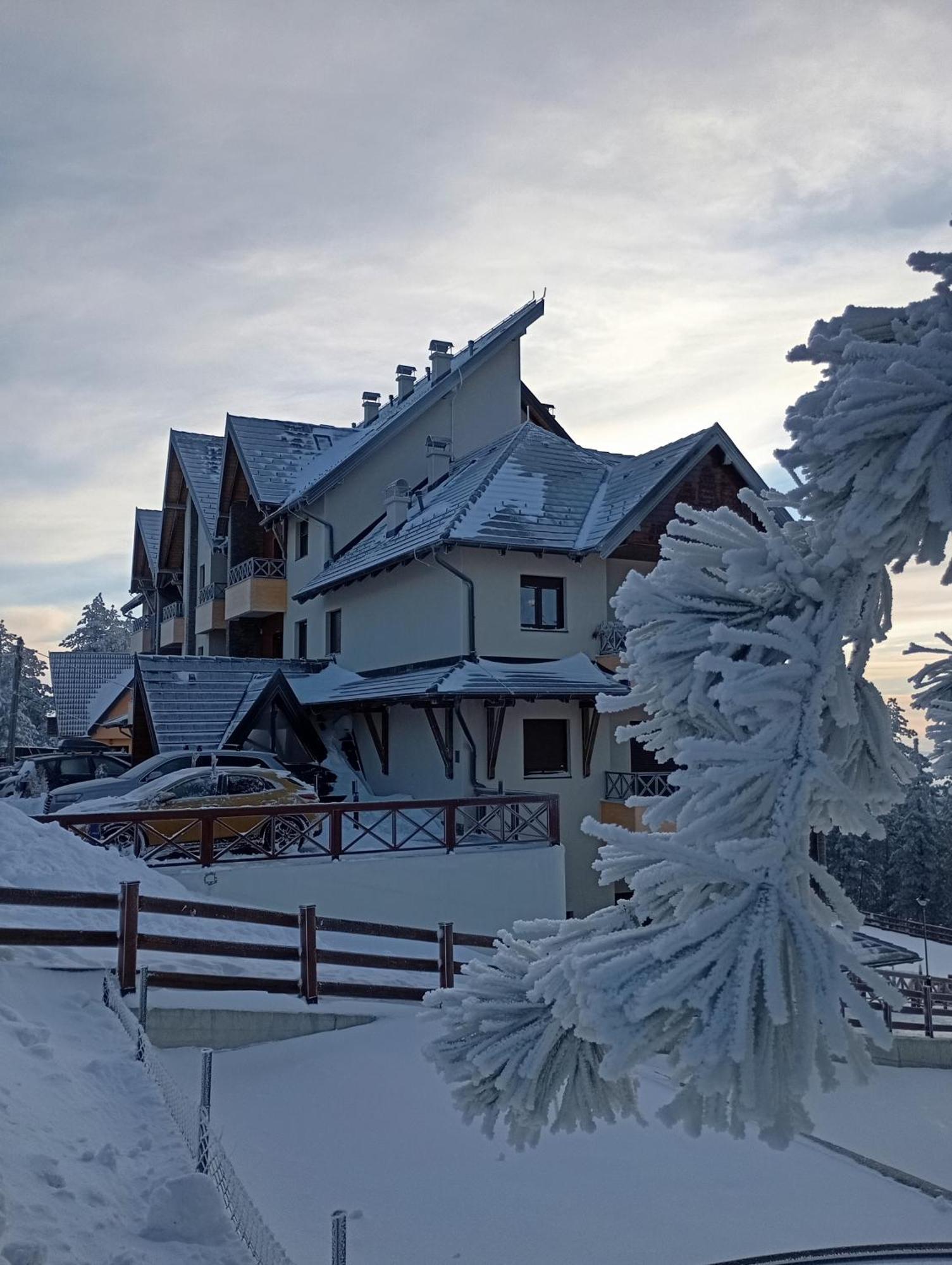 Apartman Pahuljica Tara Kaludjerske Bare Exterior foto